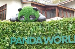 江苏省南京鼓楼医院戴令娟孙凌云黄牛挂号电话福州熊猫世界内景首次曝光,