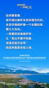 
309医院黄牛号贩子票贩子代网上预约代挂号电话碧水映苍山，洱海走出人水和