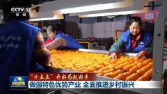 
上海第六人民医院黄牛号贩子票贩子代网上预约代挂号电话“十五五”开好局
