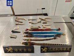 南方医科大学珠江医院黄牛号贩子票贩子代网上预约代挂号电话禁止非法携带
