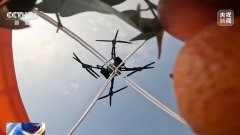 
中医科学院眼科医院黄牛号贩子票贩子代网上预约代挂号电话智慧物流提速 广