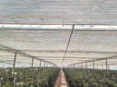 济南市儿童医院孙晓卫赵秀侠马香窦芬芬于淑娟黄牛挂号电话冷空气影响泉州