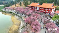 辽宁省中医医院黄牛号贩子票贩子代网上预约代挂号电话福州林阳寺梅花进入