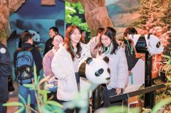 中山大学肿瘤防治中心黄牛号贩子票贩子代网上预约代挂号电话“熊猫是联结
