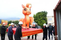 上海精神卫生中心黄牛号贩子票贩子代网上预约代挂号电话马尾赠送马祖28组花