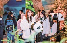 中山大学肿瘤防治中心黄牛号贩子票贩子代网上预约代挂号电话榕台青年观熊