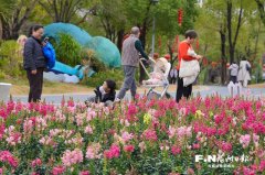 
上海市精神卫生中心黄继忠石华孟杜亚松赵志民程文红黄牛挂号电话福州鹤林