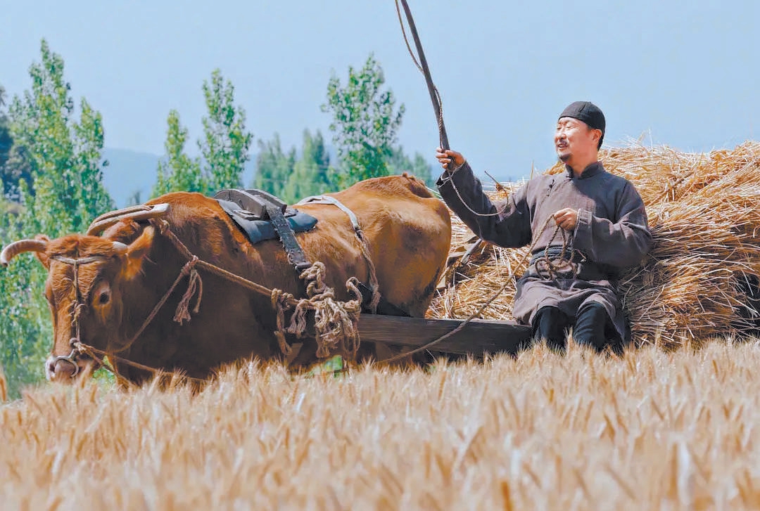 导演刘家成谈《生万物》：年轻观众闻到镜头里的泥土香气