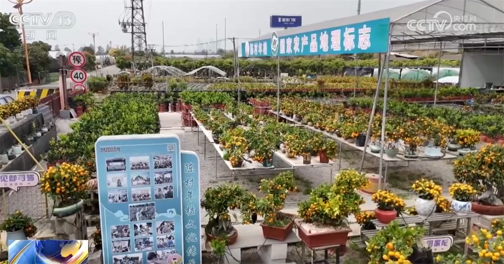 
陕西省结核病防治院黄牛号贩子票贩子代网上预约代挂号电话“科技感”“数字链条”“国潮符号”点亮新消费图鉴 年货消费向新向智、文化味浓