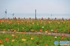 
广州市花都区妇幼保健院黄牛号贩子票贩子代网上预约代挂号电话新春赏花好