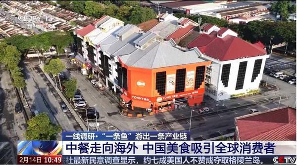 
天津医科大学总医院罗营天邦茂黄牛挂号电话“一条鱼游出一条产业链”，央视聚焦“鱼你模式”