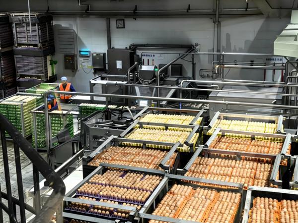 
中山大学附属口腔医院黄牛号贩子票贩子代网上预约代挂号电话金融暖意 装满你的新春购物车