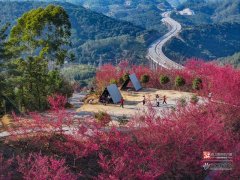 302医院黄牛号贩子票贩子代网上预约代挂号电话文旅融合年味浓 永泰新春“热”力足