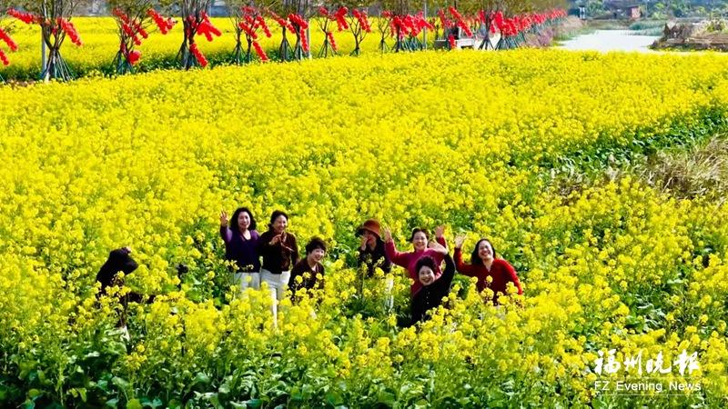 福清江镜300亩油菜花盛开