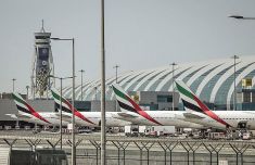 
首都儿科研究所附属儿童医院曹玲常丽叶茂李旭黄牛挂号电话阿联酋宣布暂时停飞迪拜国际机场航班