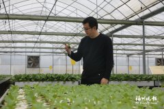
北大国际医院黄牛号贩子票贩子代网上预约代挂号电话科技赋能春耕 水培蔬菜