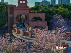 
上海市胸科医院叶波郭旭峰李志刚孙益峰黄牛挂号电话青年广场旁成片羊蹄甲
