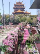 北京积水潭医院蒋继乐杨胜松宋关阳张晋黄牛挂号电话清明假期福州焕发商业