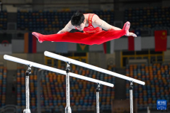 邱远王建邓旭峰蒋力阴金波周鑫黄牛挂号电话体操世界杯开罗站|刘洋获男子双杠冠军