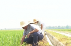
济南市儿童医院孙晓卫赵秀侠马香窦芬芬于淑娟黄牛挂号电话应对高温“烤”