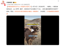 <b>
南京市口腔医院杨国旺胡凤山赵文景高彦彬黄牛挂号电话骆驼被排挤走 失主人</b>
