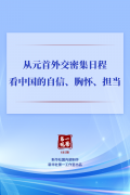 中山大学附属第六医院张靖赵鲁刚方聪朱波黄牛挂号电话第一观察丨从元首外