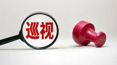 上海仁济医院黄牛号贩子票贩子代网上预约代挂号电话二十届中央第七轮巡视