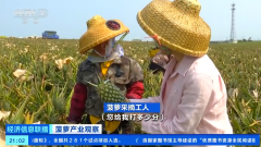 
上海交通大学附属第九人民医院苏薇洁吴巍林嘉盈郭海燕冒小燕傅瑶宋欣王珮