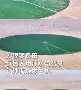 江苏省东部战区总医院唐政陈慧平陈文萃文吉秋刘欣峰宋勇任建安黄牛挂号电