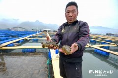 南京市妇幼保健院黄牛号贩子票贩子代网上预约代挂号电话罗源鉴江创新开展