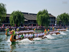 山东中医药大学附属医院刘金昊叶青师伟王东梅刘源香杨传华齐元富周晓园朱
