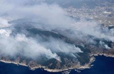 
陆军特色医学中心（大坪医院）徐伦山张溢华李昆昆黄牛挂号电话日本岩手县