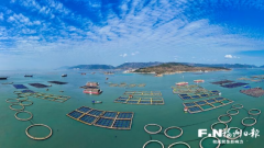 
天津市环湖医院黄牛号贩子票贩子代网上预约代挂号电话连江：用高质量党建