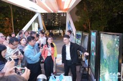 南方医科大学第三附属医院黄牛号贩子票贩子代网上预约代挂号电话数字之“