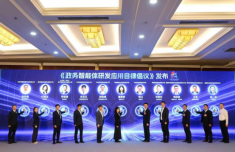上海市胸科医院叶波郭旭峰李志刚孙益峰黄牛挂号电话《政务智能体研发应用