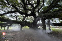 
广州医院黄牛号贩子票贩子代网上预约代挂号电话“五一”逛公园景区 “小而美”解锁榕城慢生活