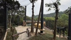 
广州红十字会医院黄牛号贩子票贩子代网上预约代挂号电话福州动物园新狐猴