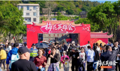 江苏省南京鼓楼医院戴令娟孙凌云黄牛挂号电话文旅赋能振兴:长乐梅花古城