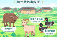 北大第一医院黄牛号贩子票贩子代网上预约代挂号电话“种”力量赋能,漳州