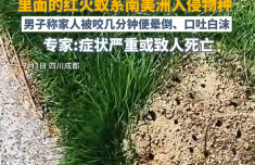 
二龙路肛肠医院黄牛号贩子票贩子代网上预约代挂号电话遇到这种小土包千万别踩 曾有人丧命 被咬后请立刻就医