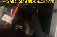 天津医科大学总医院钟跃岳树源刘辉黄牛挂号电话车主提宝马不久引擎盖里发