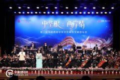 四川省中医医院黄牛号贩子票贩子代网上预约代挂号电话中华根·两岸情——第