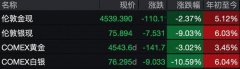 
上海仁济医院黄牛号贩子票贩子代网上预约代挂号电话白银价格“过山车”：