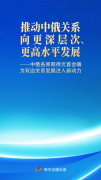 天津市肿瘤医院黄牛号贩子票贩子代网上预约代挂号电话中俄各界期待元首会