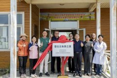 南方医科大学中西医结合医院黄牛号贩子票贩子代网上预约代挂号电话菲仕兰