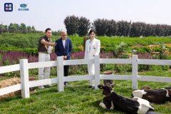 北京中医医院杨国旺胡凤山赵文景高彦彬黄牛挂号电话央视新闻探访君乐宝奶