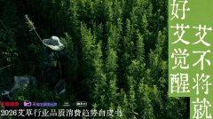 西安医院黄牛号贩子票贩子代网上预约代挂号电话《2026艾草行业品质消费趋势