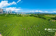 <b>
中国中医科学院广安门医院花宝金关念波郭永红陈瑞雪杜炳奎杨宗艳张宗岐黄</b>