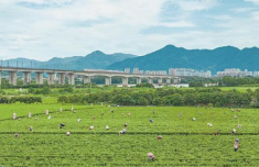 
江苏省中医院孙志广周慧芳张健亚顾威王浩姜斌赵德育马慧姿黄牛挂号电话福