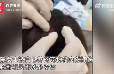 
南方医科大学皮肤病医院黄牛号贩子票贩子代网上预约代挂号电话女子被养2年